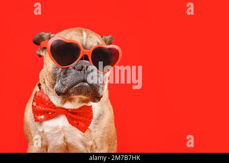 Divertente cane Bulldog francese indossando occhiali di San Valentino a forma di cuore e cravatta ad arco su sfondo rosso con spazio copia Foto Stock