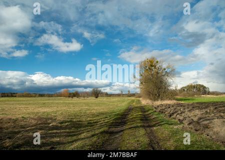 Strada sterrata attraverso il prato e le nuvole nel cielo, Nowiny, Polonia Foto Stock