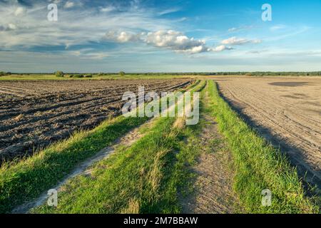 Una lunga strada rurale tra i campi arati, giorno d'estate, Czulczyce, Polonia Foto Stock