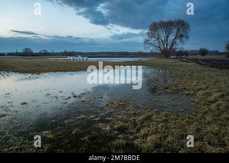 Acqua su prato allagato e cielo coperto, primavera, Polonia orientale Foto Stock