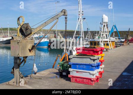 8 agosto 2019 scatole di pesce impilate accanto a una piccola gru elettrica con pescherecci da traino al Quayside per il fine settimana in Ardglass Harbour County Down Northern Foto Stock