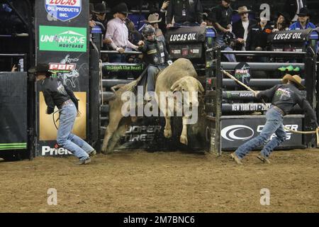 New York, Stati Uniti. 08th Jan, 2023. The 2023 Professional Bull Riders Monster Energy Buck-off, Madison Square Garden, 4 Penn Plaza, New York, NY 10001, 8 gennaio 2023. Alla finale del Campionato di domenica Round del 2023 Professional Bull Riders Monster Energy Buck-off al Madison Square Garden di New York, 35 dei migliori piloti di toro del mondo hanno sfidato oltre 70 tori d’élite da 1-2 tonnellate nel campionato mondiale annuale della PBR tenutosi a New York. Venendo da dietro, due volte campione del mondo, il brasiliano Jose Vitor Leme ha ottenuto il 1st° posto onorificenze. Credit: ©Julia Mineeva/EGBN TV News/Alamy Live News Credit: Julia Mineeva/EGBN TV NE Foto Stock