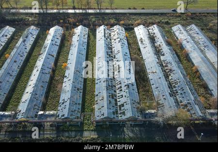 PRODUZIONE - 25 novembre 2022, Brandeburgo, Cottbus: Serre di un'antica vivaio nei pressi del Castello di Branitz nel parco omonimo del Parco della Fondazione Museo del Principe Pückler e del Castello di Branitz (vista aerea con un drone). Su questo sito verrà costruita la futura nuova Tree University della Fondazione Museo Prince Pückler. Alberi malati e morenti, regioni desertiche - con il cambiamento climatico, i paesaggi stanno cambiando visibilmente. Anche i giardini storici e i parchi sono stati a lungo minacciati. Una missione di salvataggio nel Parco Branitz continua l'opera del giardinista Hermann Fürst von Pückler-Muskau. (A dpa 'T Foto Stock