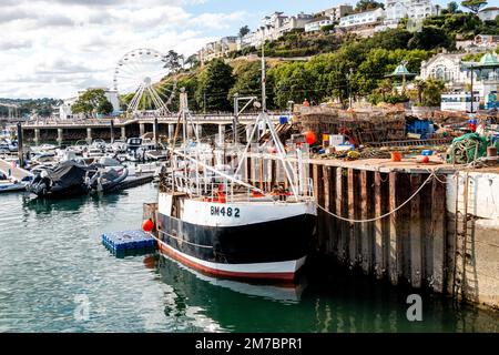 La barca da pesca, BM482, la Mary sue, ormeggiata al molo di Torquay Harbour, Devon, Regno Unito. Foto Stock