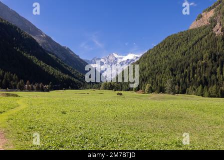 Panorama di verde e pulito prato di Sant Orso e sentiero che si snoda lungo la gola delle Alpi, pendii ricoperti di pineta sempreverde, Cogne, Valle d'Aosta Foto Stock