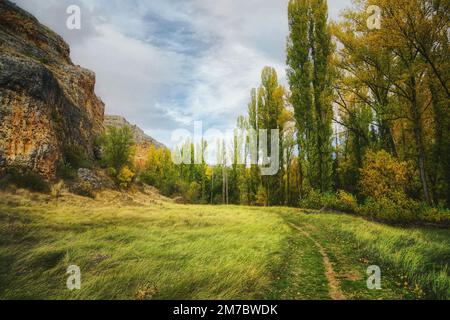 Un bellissimo paesaggio con un prato in mezzo a rocce Streep e colorate foreste autunnali Foto Stock