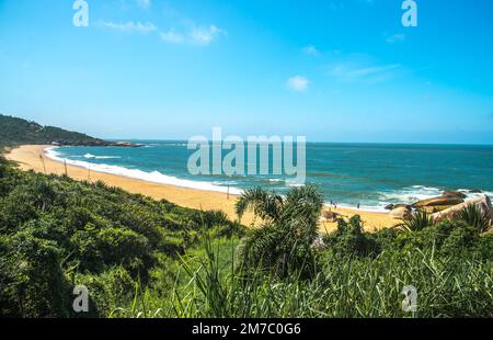 Desert Beach. Paradiso tropicale Foto Stock