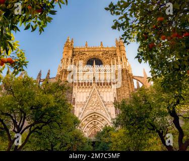 Puerta de la Concepción/porta della Concezione apertura sul patio de los Naranjos/cortile degli arance sul lato nord della cattedrale, Sev Foto Stock