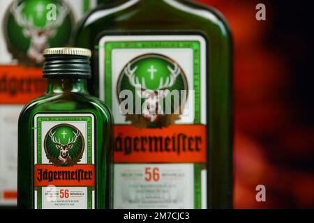 KIEV, UCRAINA - 4 MAGGIO 2022 Jagermeister bottiglia di alcol originale su tavolo di legno con camino rosso sullo sfondo. Produzione di alcool Elite Foto Stock