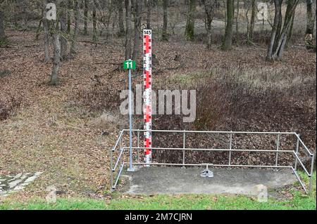 Bassa Austria, Austria. Riserva naturale Marchauen nella pianura alluvionale della marcia Foto Stock