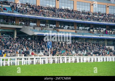 Ascot, Berkshire, Regno Unito. 22nd gennaio 2022. Una giornata impegnativa di corse ad Ascot oggi. Credito: Maureen McLean/Alamy Foto Stock