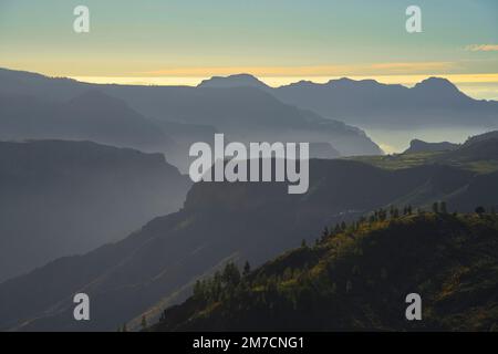 Parco Naturale di Pilanconi Gran Canaria Spagna Foto Stock