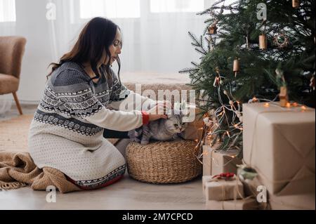 Gatto grigio tra le braccia di una donna incinta, sullo sfondo un albero di Natale Foto Stock