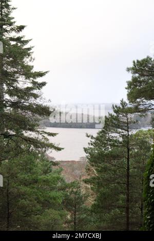 Vista sul lago di Muckross dal monte Troc in inverno Foto Stock