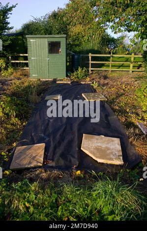 Uno strato di rete nera o tessuto di controllo di erbacce che è usato su una patch di allotment per uccidere erbacce. Foto Stock