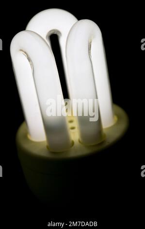 Primo piano dei 3 tubi ad anello che costituiscono una lampadina domestica a basso consumo ecologico a risparmio energetico. Invece del filamento tradizionale di tungsteno queste lampadine consumano meno energia e sono anche note come lampade fluorescenti o tubi. Foto Stock