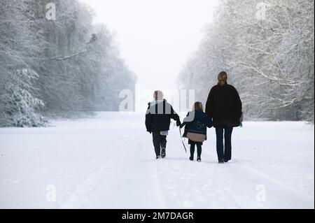 Dopo un insolito pesanti caduta di neve le persone sono a spasso per Cirencester park in Cotswolds, UK. Lo spettacolo delle enormi alberi coperti di uno spesso strato di neve e scintillante di sole figure sembrano profilarsi contro uno sfondo bianco. Famiglie e bambini cani adn tutte le passeggiate attraverso la magica scena. Foto Stock