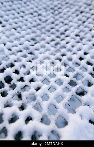 Piante su un riparto diventare ricoperto di uno strato di neve spessa tranne per il fatto che alcuni di essi sono protetti mediante l'uso di pezze e filo che mantiene alcuni inverni miti temperature di congelamento adn ghiaccio da piante di seguito. Foto Stock