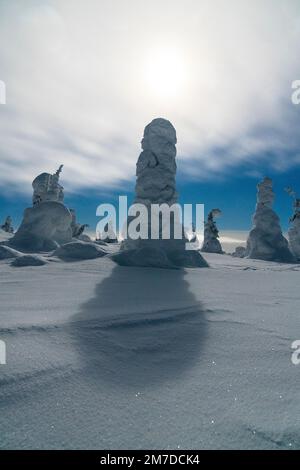 Cielo notturno panoramico con nuvole sulla foresta innevata illuminata dalla luna, Parco Nazionale di Riisitunturi, Posio, Lapponia, Finlandia Foto Stock