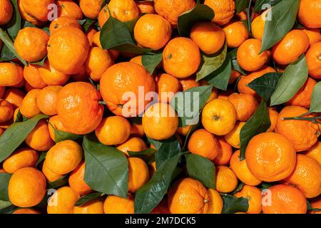 Frutta fresca d'arancia con foglie sul mercato conta. Foto vista dall'alto. Molti tangerini freschi maturi raccolgono. Sfondo naturale per striscioni, sfondi, ecc. Foto Stock