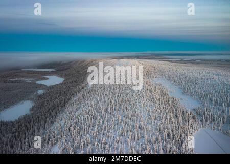 Vista aerea di una foresta ghiacciata innevata in inverno, Parco Nazionale di Oulanka, Ruka Kuusamo, Lapponia, Finlandia Foto Stock