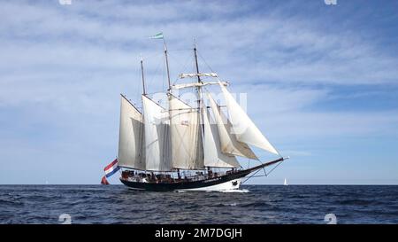 Schooner olandese di topsail Oosterschelde, partenza gara di vela Boston, 2017 Foto Stock