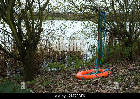 Canne vecchie e morte sulle rive di un lago con un conservatore di vita arancione sulle rive Foto Stock