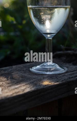 Un calice di flauto di vino frizzante retroilluminato dal sole di tramonto coperto di condensa dal liquido freddo all'interno. Foto Stock