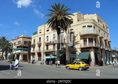 Palm fiancheggiata Harnet Avenue nel centro della città di Asmara Foto Stock