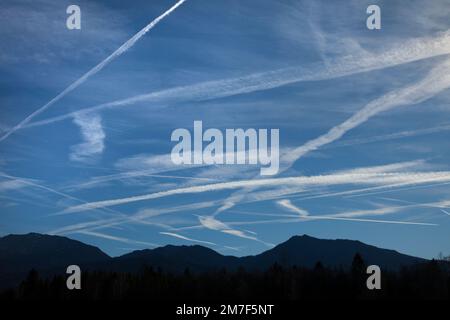 CONCETTO AMBIENTALE: Qui voliamo di nuovo Foto Stock