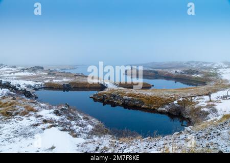 Gli snook autunnali e le gru con la prima neve sul lago Myvatn nel nord dell'Islanda Foto Stock