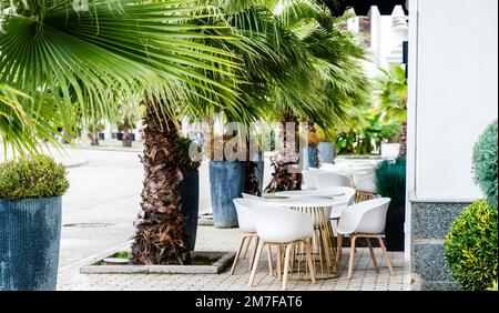 Street cafè con sedie bianche, verde fogliame intorno. Senza persone, turismo, viaggi. Foto Stock