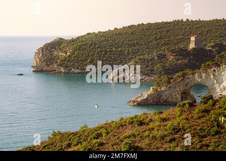 Vista dall'alba all'arco di San Felice - Un arco calcareo naturalmente formato (Arco e Torre di San Felice) vicino alla città di Vieste, Foggia, Italia Foto Stock