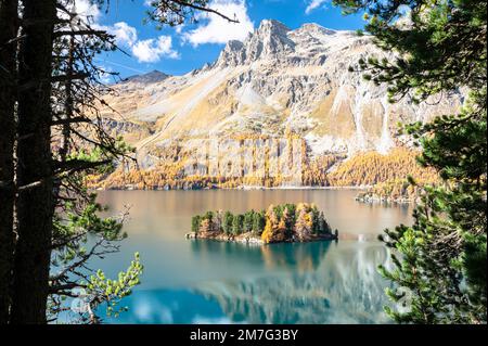 Pittoresca vista di una piccola isola nel Lago di Sils, Svizzera in una giornata di sole a fine ottobre Foto Stock