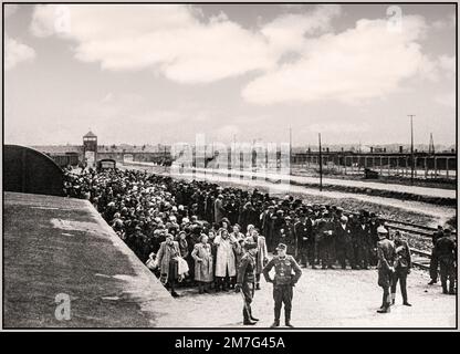 ARRIVO DEI PRIGIONIERI DELL'OLOCAUSTO AD AUSCHWITZ-BIRKENAU - Una visione di un inferno sulla terra. 1944, i nazisti 'classificazione' (vita o morte) ignari prigionieri sul convitto ferroviario all'esterno dell'ingresso del campo di sterminio di Auschwitz-Birkenau. Il famigerato campo di Auschwitz fu iniziato per ordine di Adolf Hitler nel 1940 durante l'occupazione della Polonia da parte della Germania nazista durante la guerra mondiale 2, ulteriormente abilitato da Heinrich Luitpold Himmler il Reichsführer dello Schutzstaffel, e membro principale del Partito nazista di Germania Foto Stock