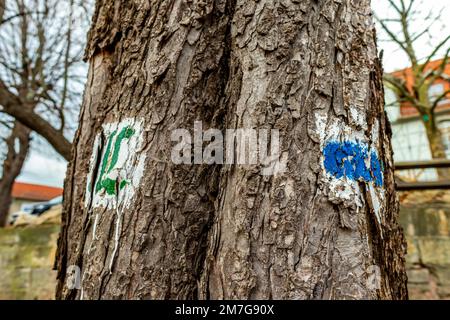 Breve escursione intorno al bellissimo Drei Gleichen nel bacino della Turingia - Drei Gleichen - Germania Foto Stock