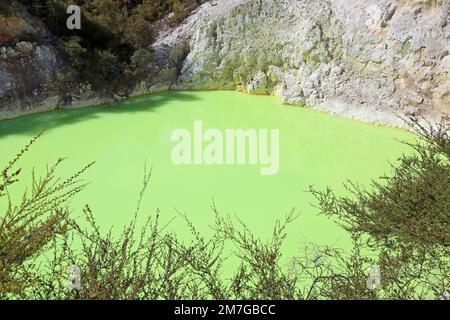 Acqua verde di zolfo in bagno di Devils - Nuova Zelanda Foto Stock