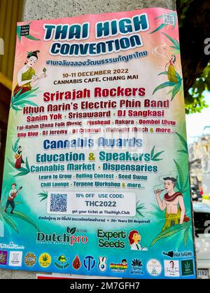 Mueang, Chiang mai, Thailandia, dettaglio, Poster Marijuana Trade Show, Cannabis Convention, dettaglio Cannabis in mostra Cannabis è stato recentemente legalizzato per uso personale e i negozi si stanno aprendo ovunque nel paese. I semi sono stati forniti dal governo per consentire la piantagione personale. Foto Stock