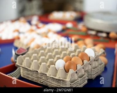 Uova in un negozio di cernita modernizzato Foto Stock