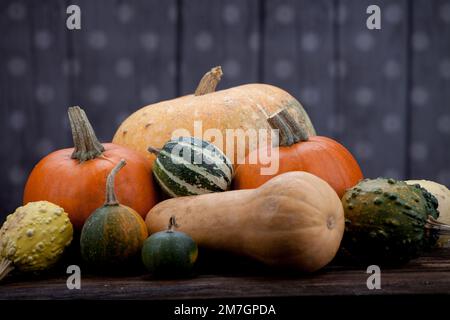 Zucca. Varietà diverse di zucche su fondo di legno Foto Stock