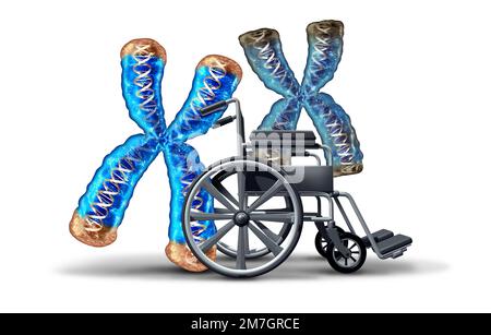 Concetto di accorciamento e invecchiamento del telomero o riduzione dei telomeri situati sulle estremità dei cromosomi, con conseguente danneggiamento del DNA come cromosoma giovane Foto Stock