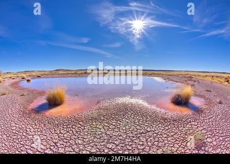 Serbatoio di Dry Creek a Petrified Forest, Arizona Foto Stock