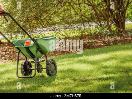 Concimazione e semina di prato residenziale con spandiconcime manuale per erba. Foto Stock