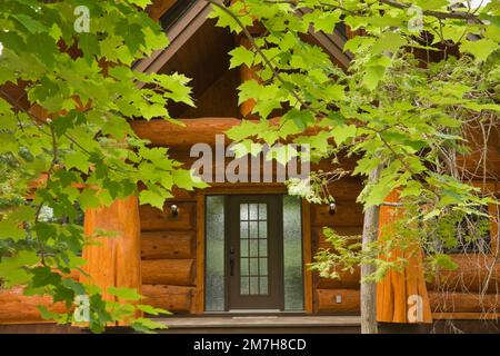 Facciata casa in legno di cedro rosso artigianale attraverso foglie di acero in estate. Foto Stock