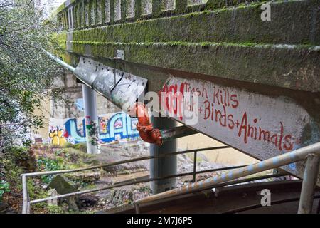 Graffiti e le parole Trash uccide gli animali di uccelli pesci sul lato di un ponte sul fiume russo a Forestville, California. Foto Stock