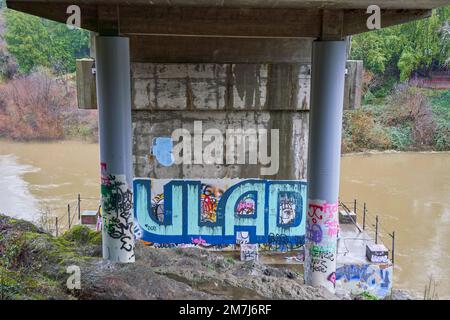 Il nome VLAD e altri graffiti sul lato inferiore di un ponte sul fiume russo a Forestville, California. Foto Stock