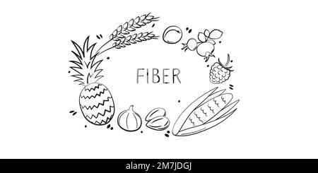 Cibo contenente fibre. Gruppi di prodotti sani contenenti vitamine e minerali. Set di frutta, verdura, carne, pesce e latticini Illustrazione Vettoriale