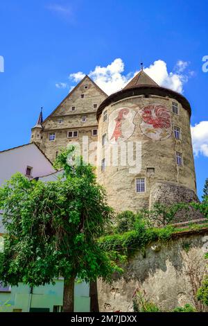 Vista della grande torre di Château de Porrentruy, Canton du Jura, Svizzera Foto Stock