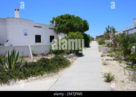 Farol Village strade pedonali, Isola di Culatra, Olhao, Algarve, Portogallo Foto Stock