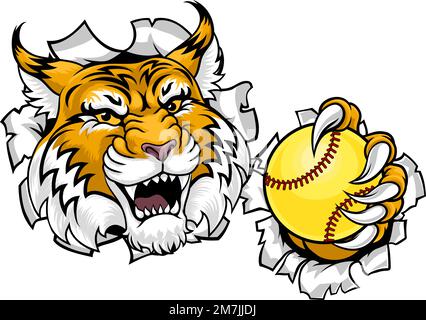 Wildcat Bobcat Softball Animal Sports Team Mascot Illustrazione Vettoriale